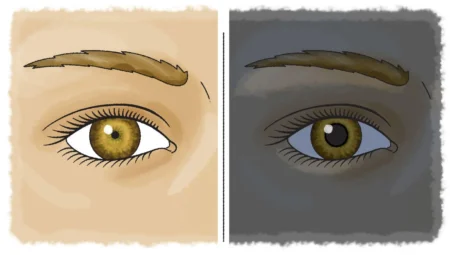 Algı, Yorum ve Rehberlik: Kur’an’da Basar ve Nur İlişkisi