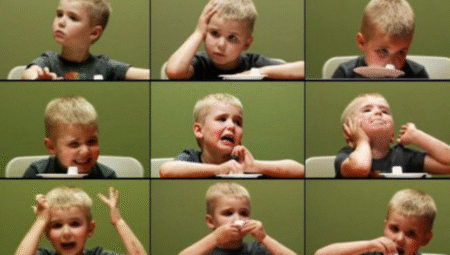 Bir Çok Sorunun Çözüm Formülü: İrade – Öz Denetim