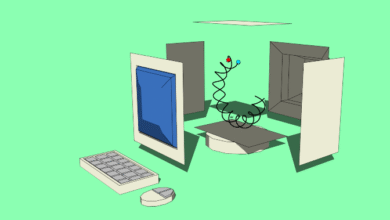 İki Fizikçi Bir Kuantum Bilgisayar “Ay Projesi” Üzerine Bahse Girdi